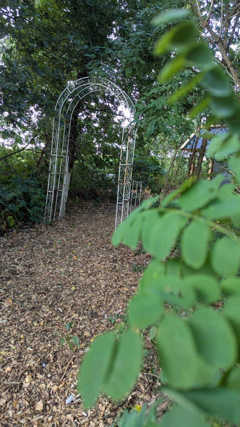 PXL_20250911_145209875